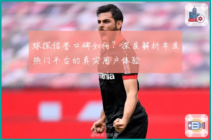 球探信誉口碑如何？深度解析年度热门平台的真实用户体验