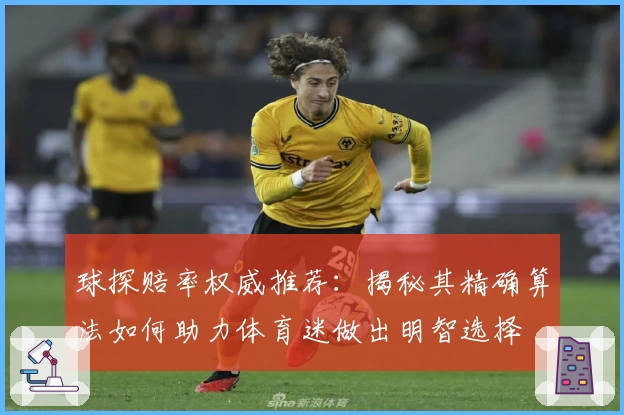球探赔率权威推荐：揭秘其精确算法如何助力体育迷做出明智选择