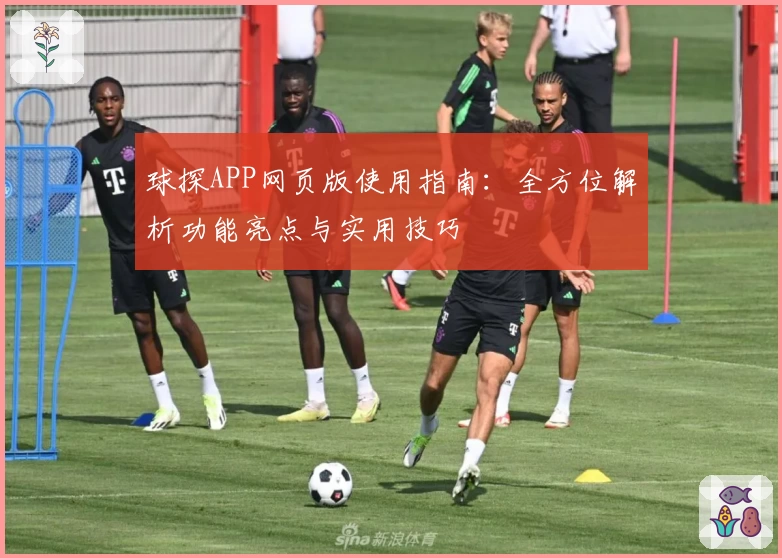 球探APP网页版使用指南:全方位解析功能亮点与实用技巧